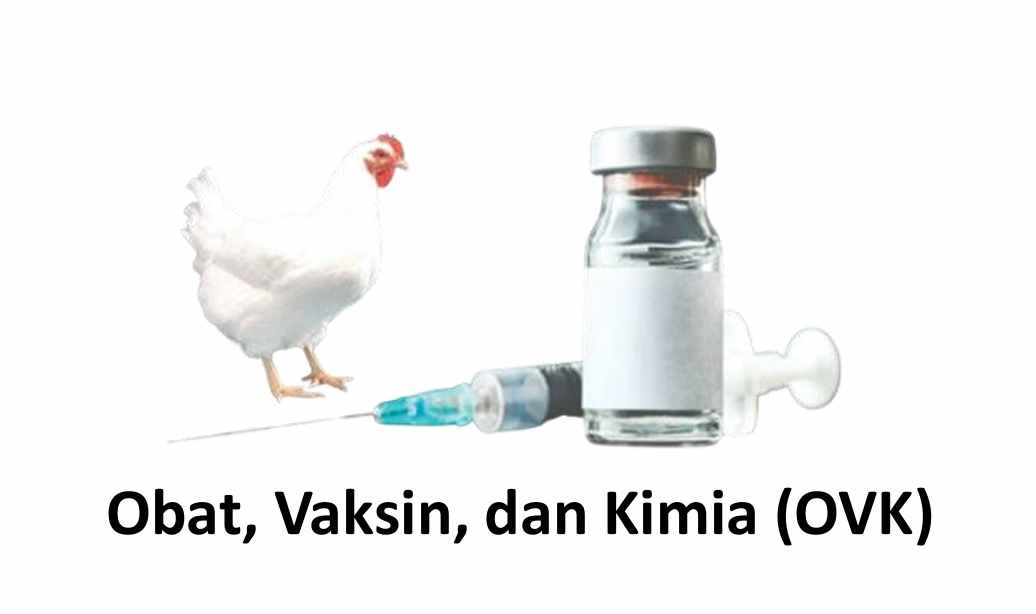 Screenshot 2026-01-18 181312