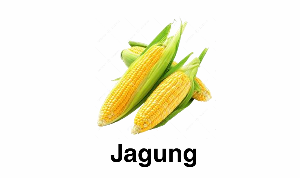 Screenshot 2026-01-18 181324