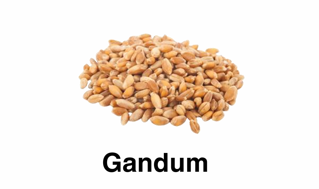 Screenshot 2026-01-18 181333