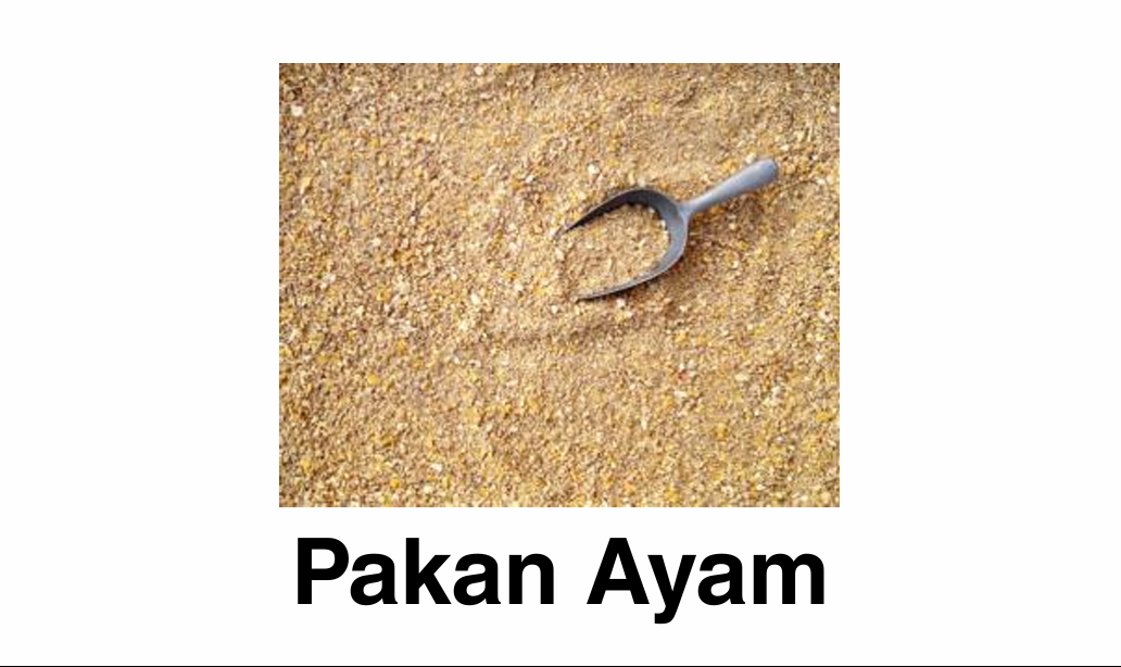 Screenshot 2026-01-18 181342