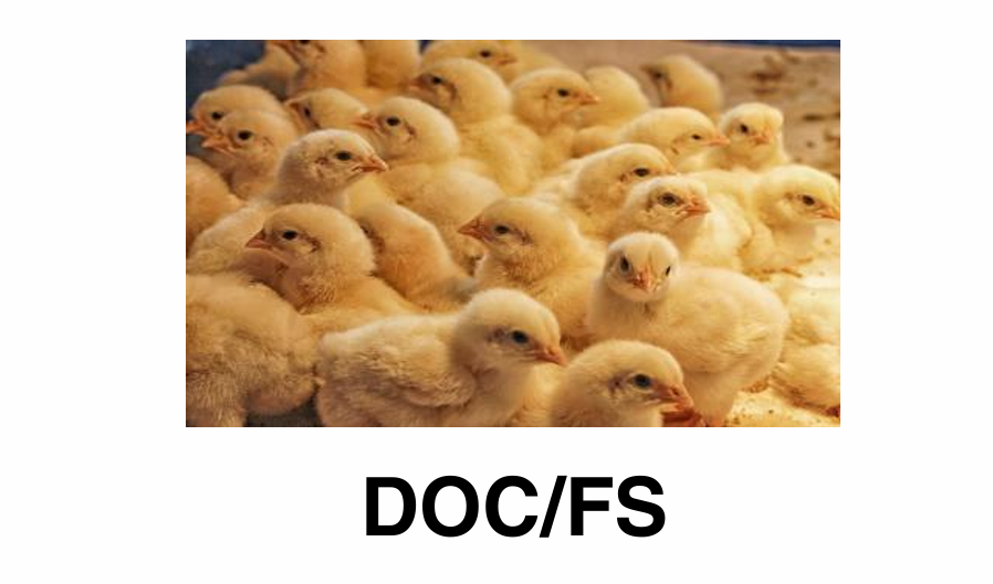 Screenshot 2026-01-18 181844